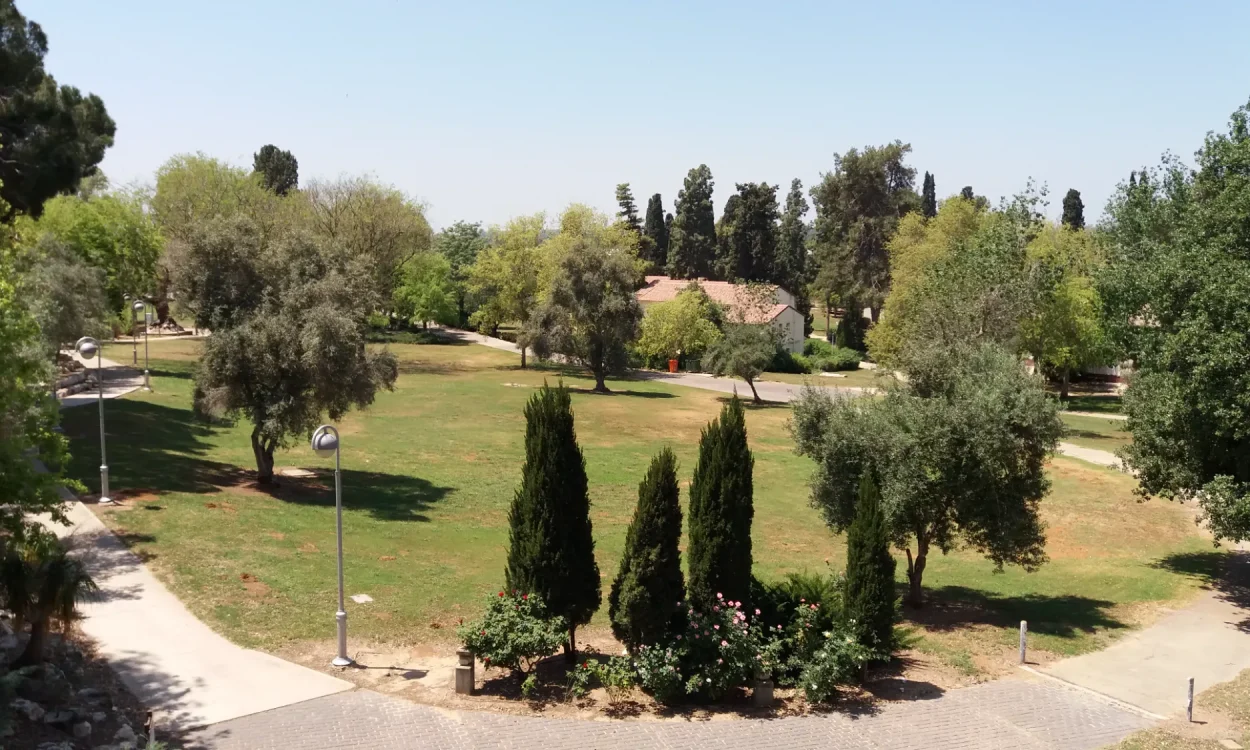 מתחמי חוץ 1 (1)